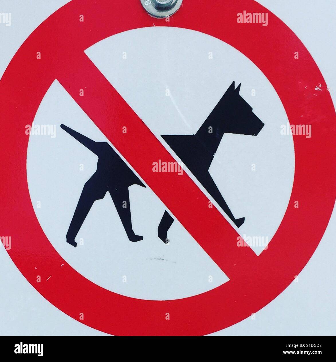 No dogs by K.R. Stock Photo