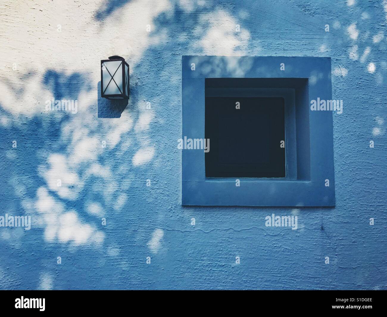Shadow of a tree against a window - Smartphone Captured Stock Image