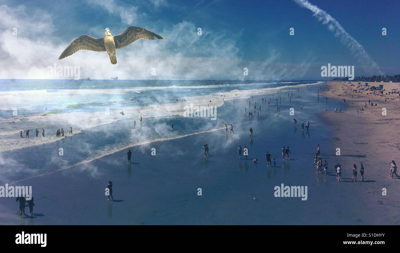 Double exposure image of seagull bird flying over beach goers on a sandy beach. 16x9 - Smartphone Captured Stock Image