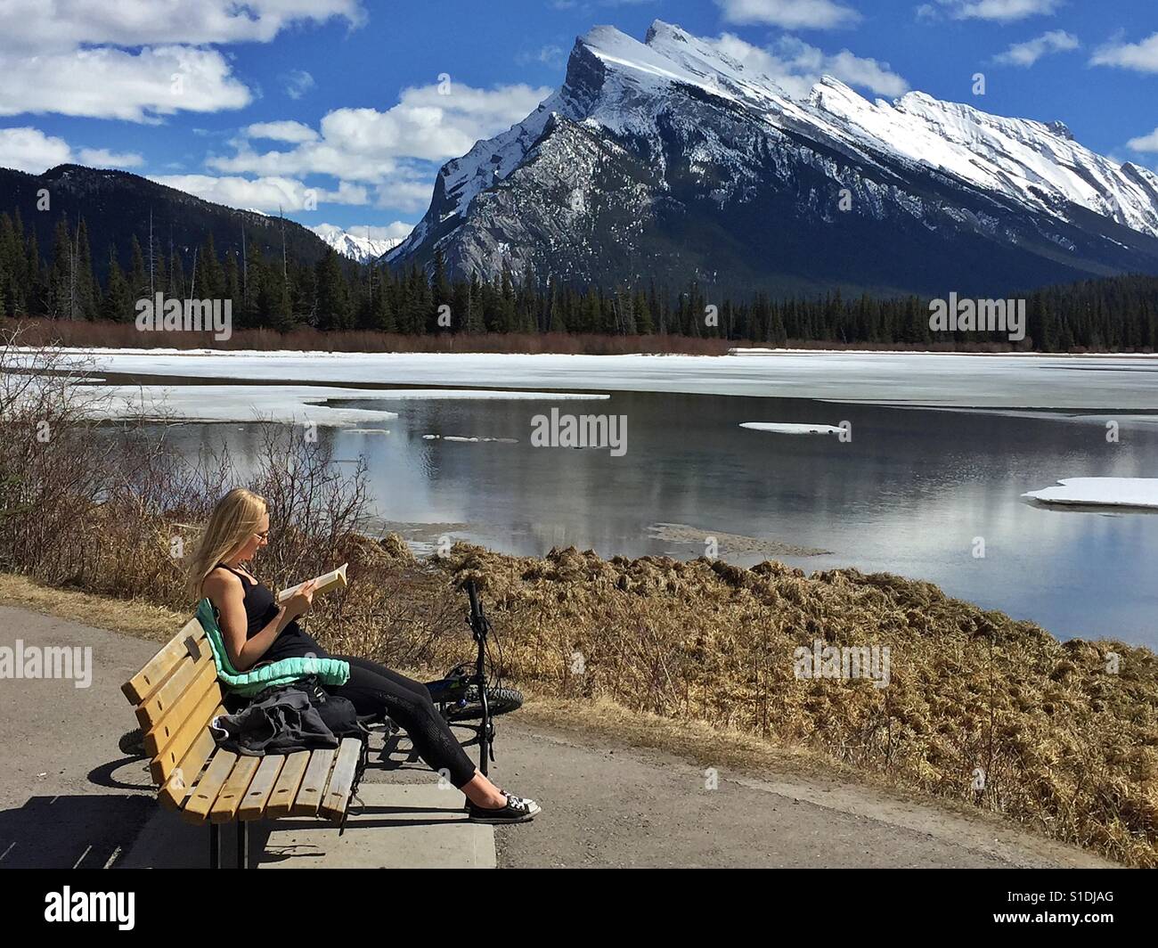 Cycler stopping for a break and reading a book at Vermillion Lakes and Mt. Rundle.  Banff National Park, Canada - Smartphone Captured Stock Image