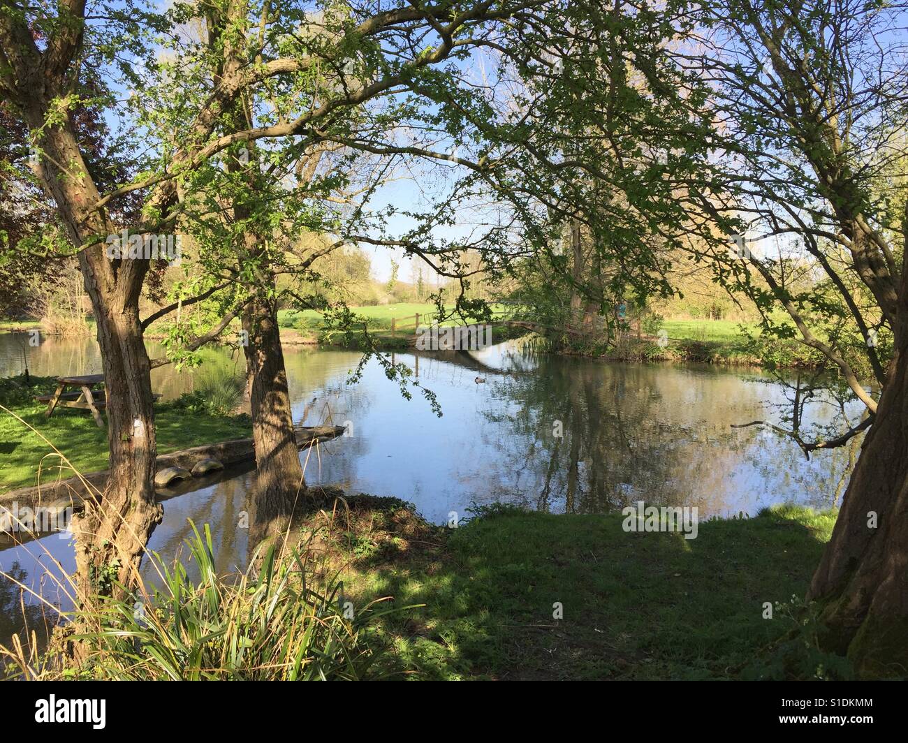 Spring at the Cherwell river, Oxford Stock Photo