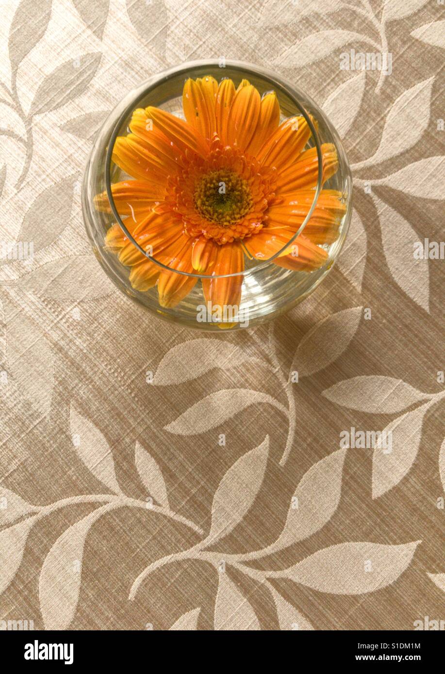 Petals and leaves Stock Photo Alamy