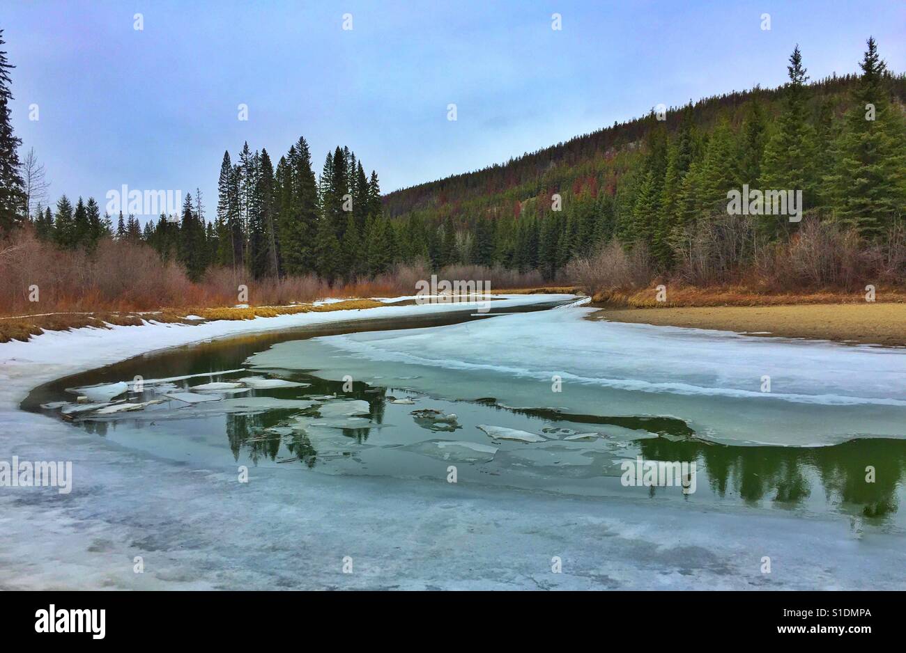 Upper Frazer River, Mount Robson Provincial  Park - Smartphone Captured Stock Image
