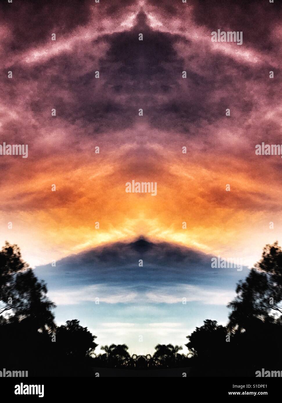 Psychedelic jungle sunset. (Image is digitally altered). - Smartphone Captured Stock Image