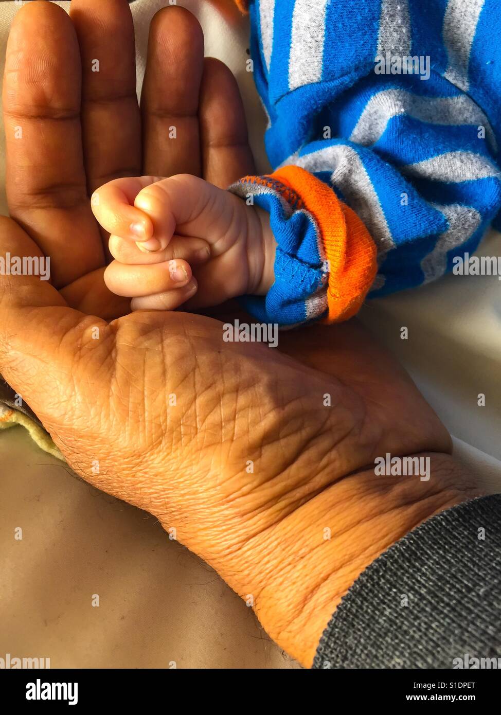 Sheltering hand, a universal bond across generations in all cultures, all ethnicities. Genetic, and so much more. Aged and young, old and new. - Smartphone Captured Stock Image
