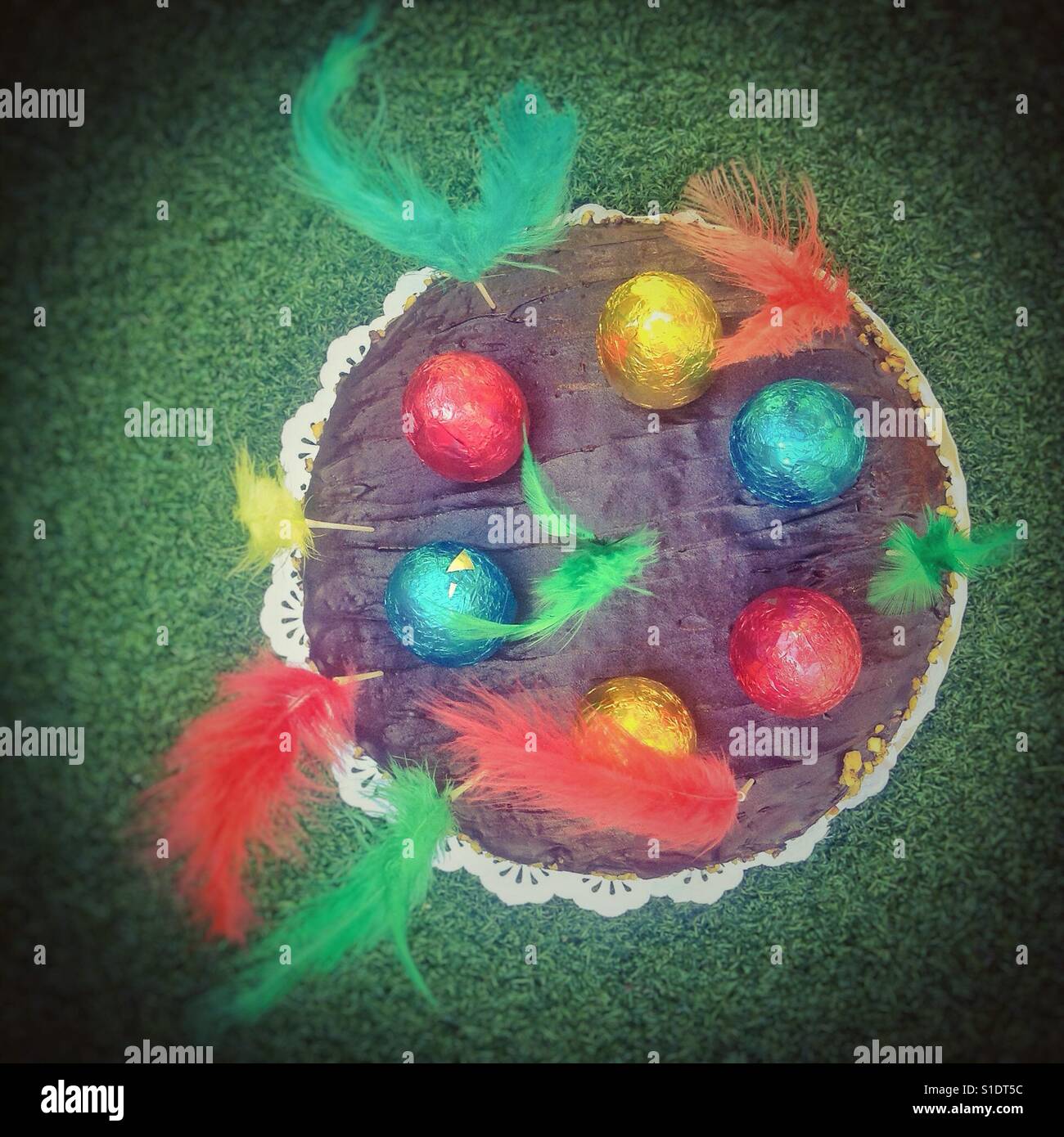 Easter homemade gluten free cake with feathers - Smartphone Captured Stock Image