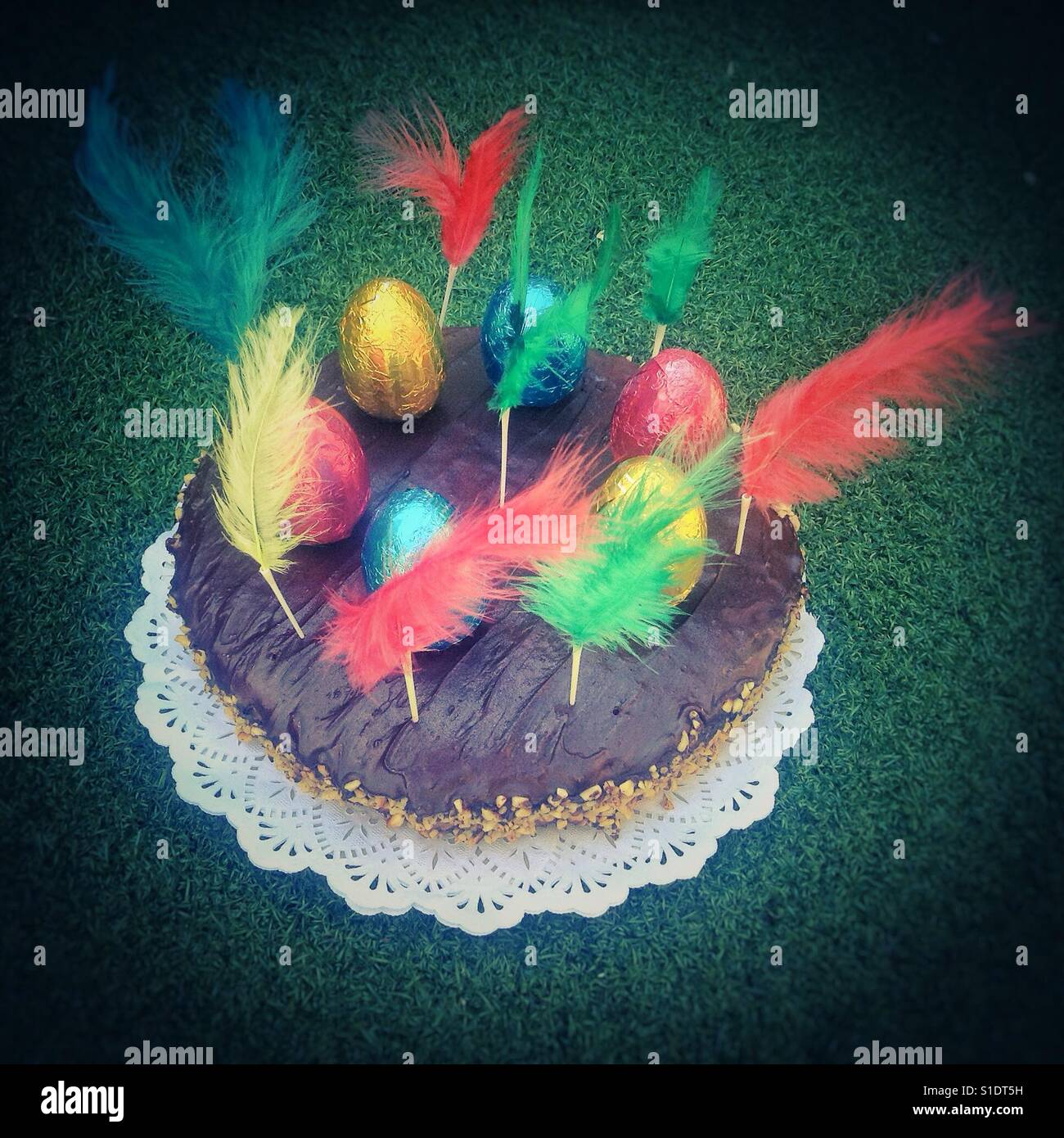 Easter home made gluten free cake with feathers - Smartphone Captured Stock Image