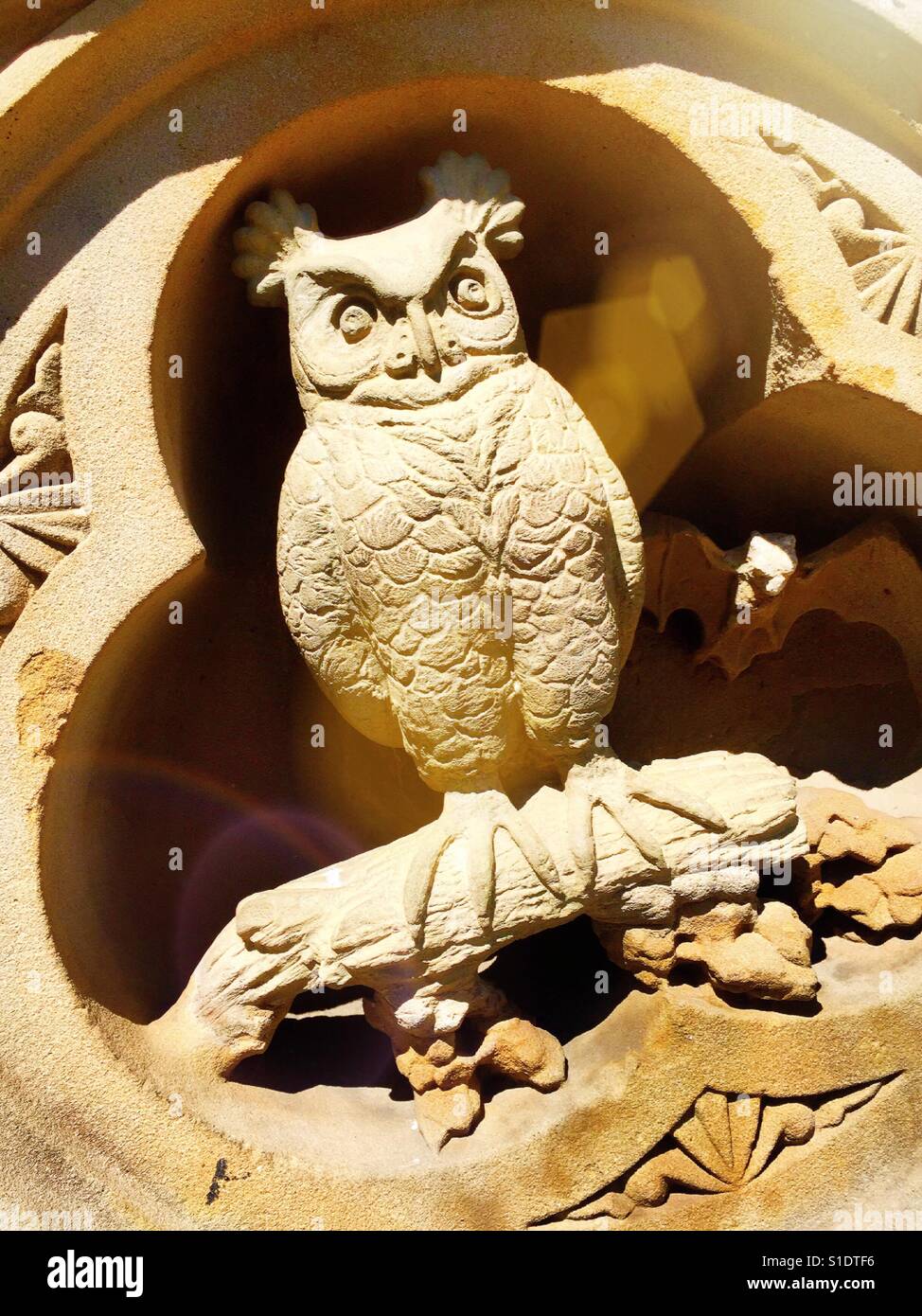 Owl Stone carving at Bethesda terrace, Central Park, NYC, USA - Smartphone Captured Stock Image