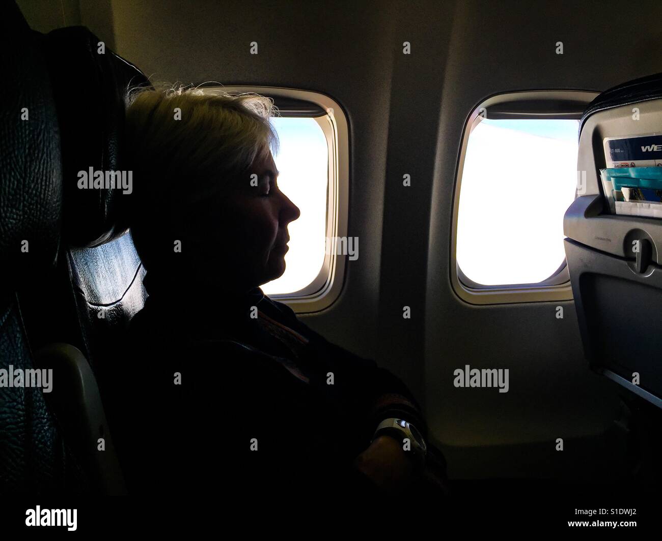 Resting Flyer - Smartphone Captured Stock Image