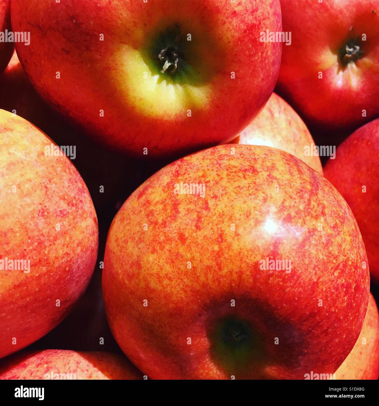 Fresh apples by K.R. Stock Photo