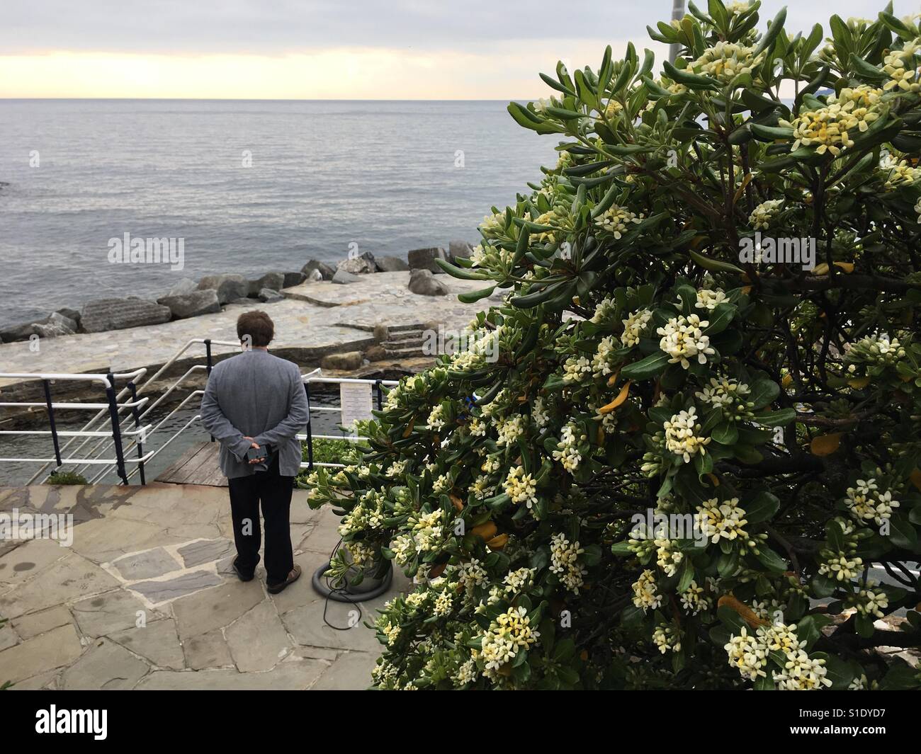 Deep in thoughts - Smartphone Captured Stock Image