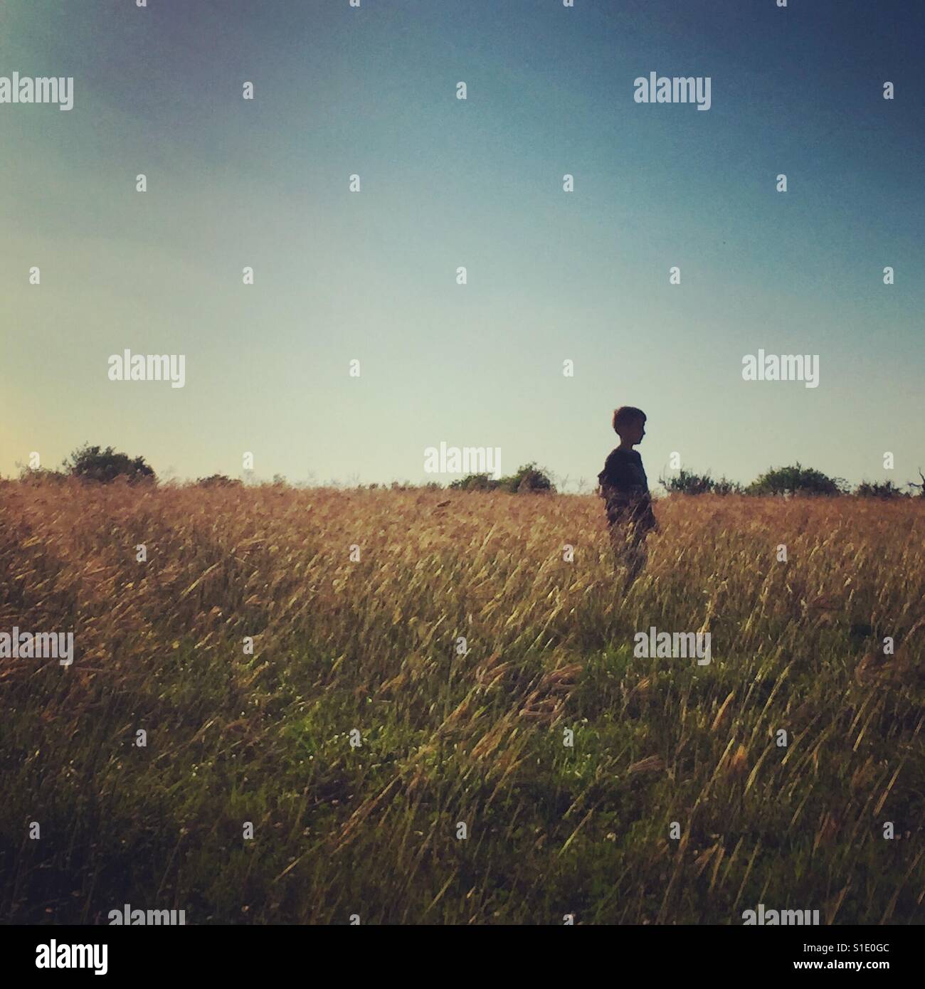 Don't grow up. Little boy playing in a field. Stock Photo