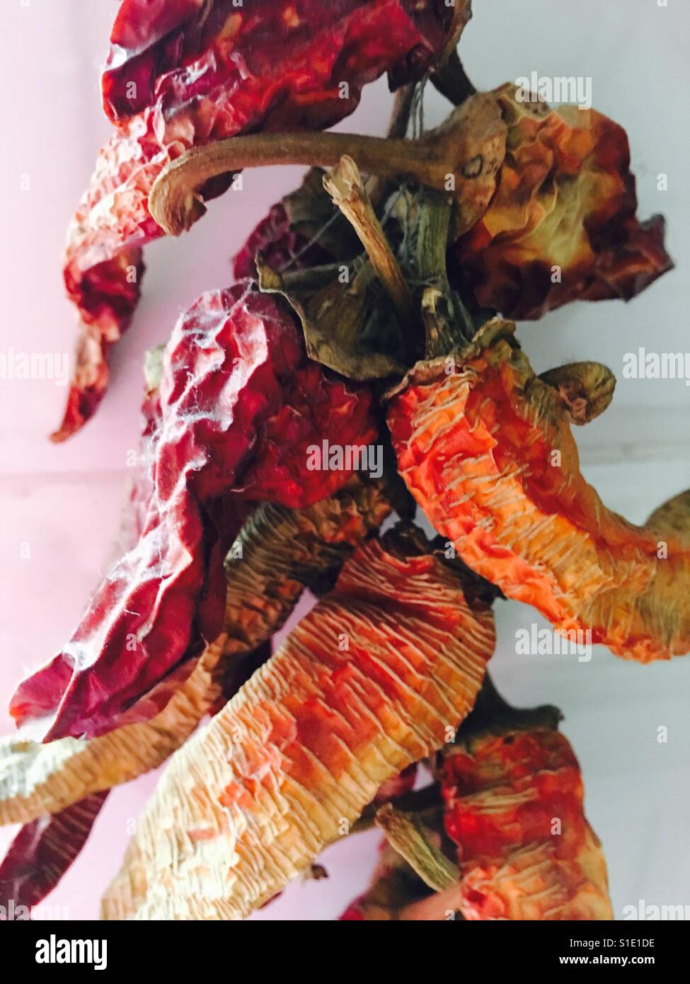Very dry chilly peppers hanging on the wall - Smartphone Captured Stock Image