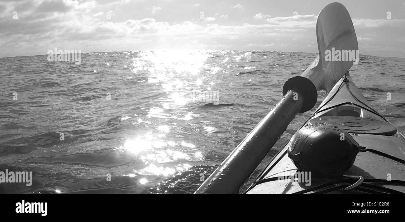 Kayaking in East Devon Stock Photo Alamy