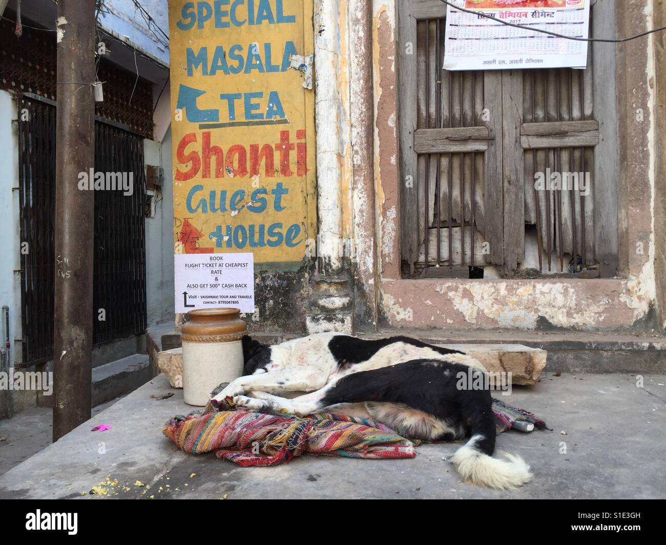 A dog sleeps in the street in Varanasi, India - Smartphone Captured Stock Image