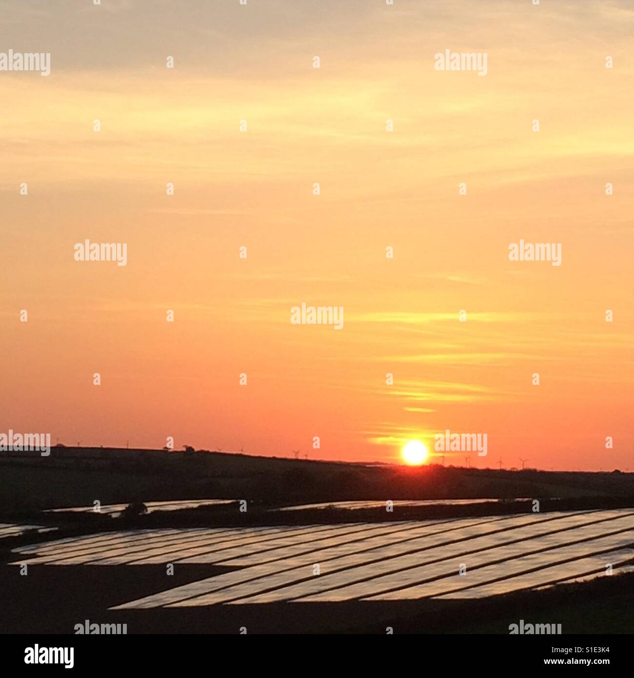 Plastic sheeting over crops in Cornwall at sunset - Smartphone Captured Stock Image