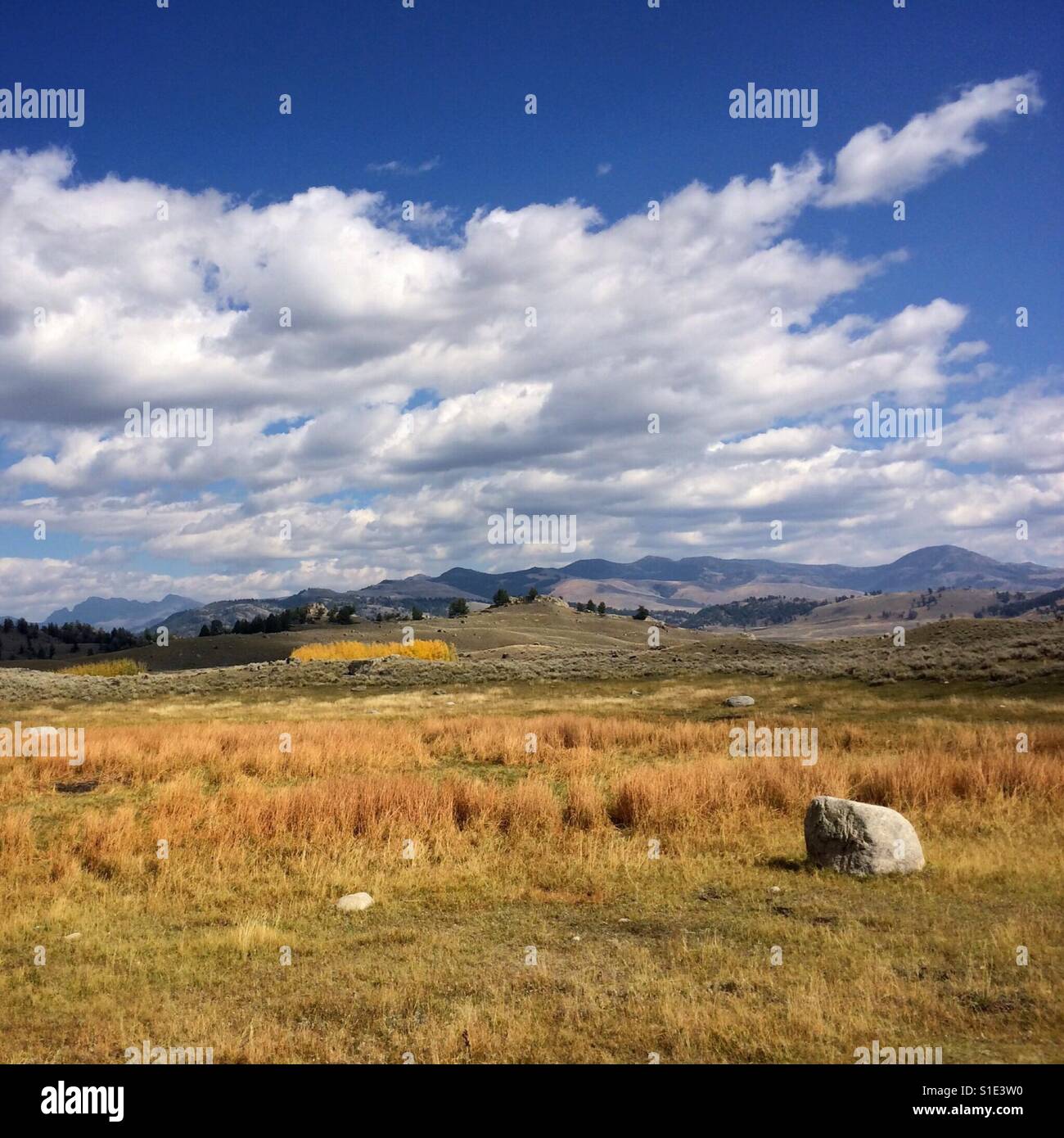 A perfect autumn afternoon in the Lamar Valley of Yellowstone National Park, Wyoming, USA - Smartphone Captured Stock Image
