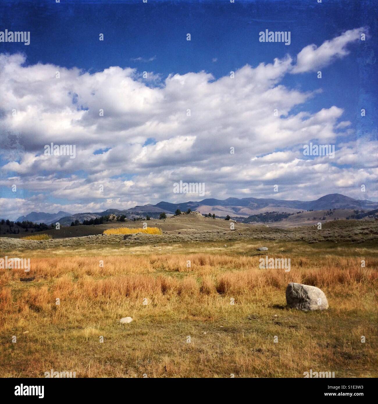 Textured frame on image of perfect autumn day in the Lamar Valley of Yellowstone National Park, Wyoming, USA - Smartphone Captured Stock Image