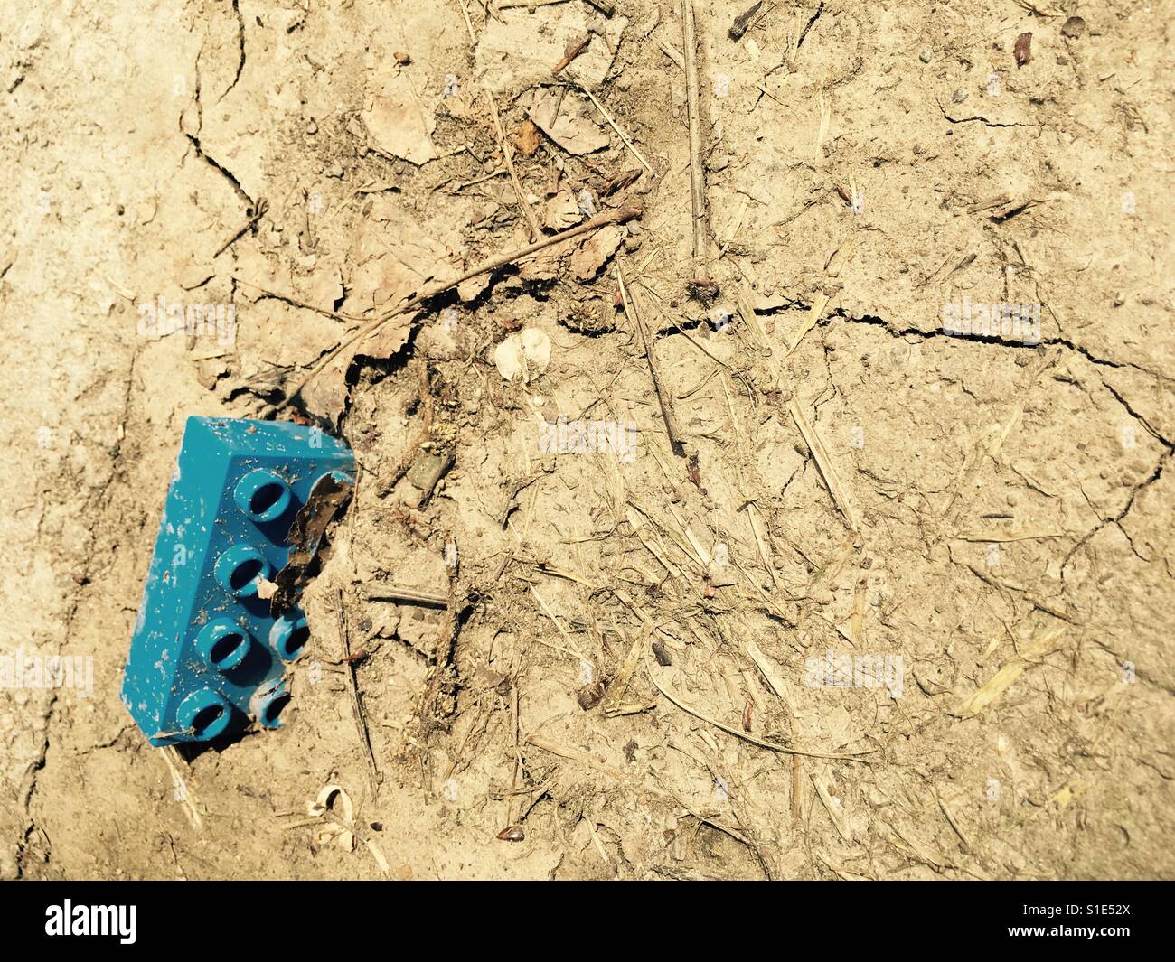 Lego in dry, cracked soil - Smartphone Captured Stock Image