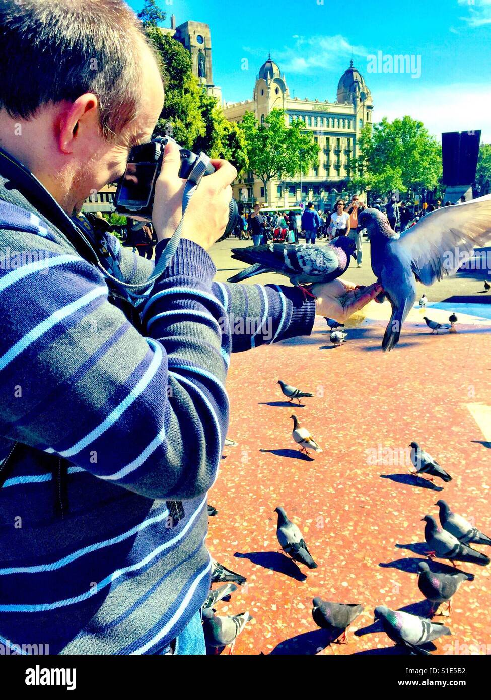 A man takes pictures with a camera held in one hand of pigeons feeding in the other hand. - Smartphone Captured Stock Image