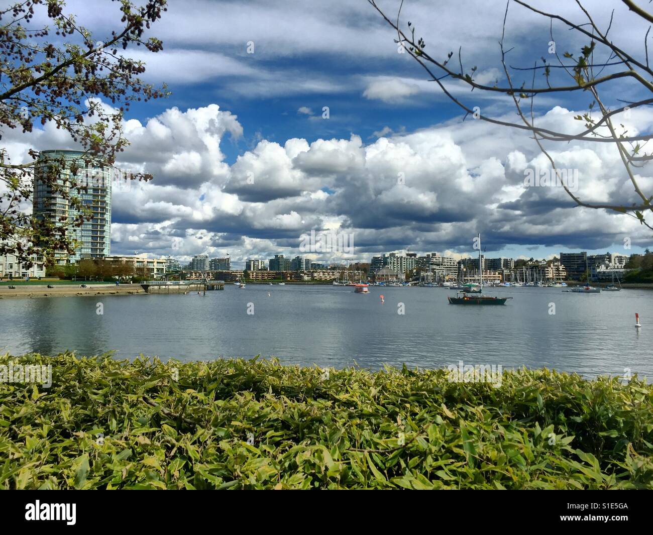 Sailboat in the water at False Creek in Vancouver. Highrise and clouds in the background, in front trees and a bush - Smartphone Captured Stock Image