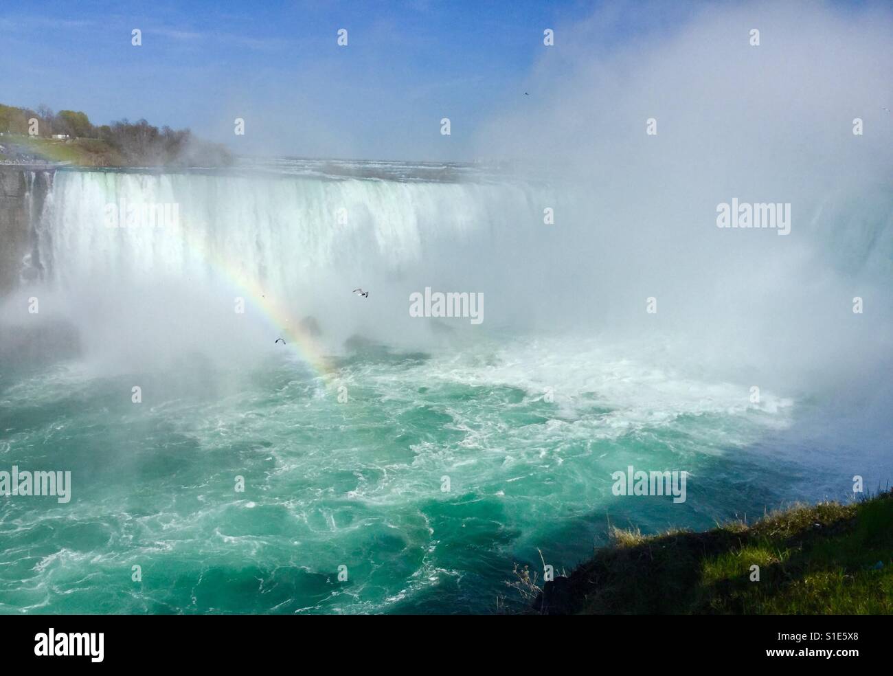 Horseshoe Falls, Niagara Falls. - Smartphone Captured Stock Image