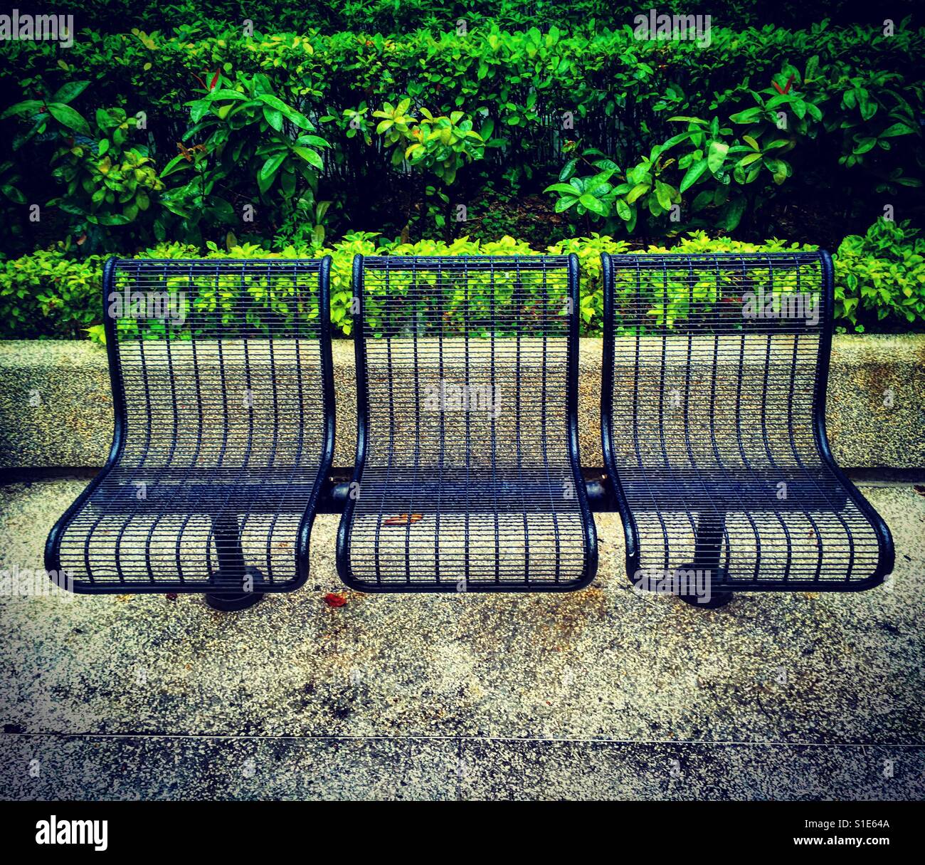 3 empty seats on a bench in a park - Smartphone Captured Stock Image
