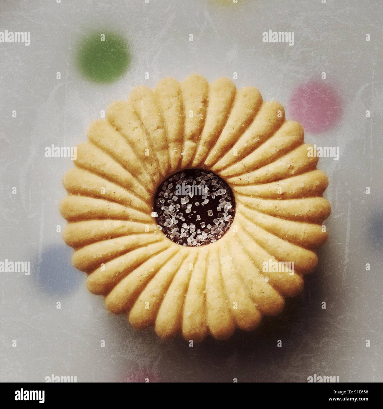 Portrait of a Jammie dodger - Smartphone Captured Stock Image