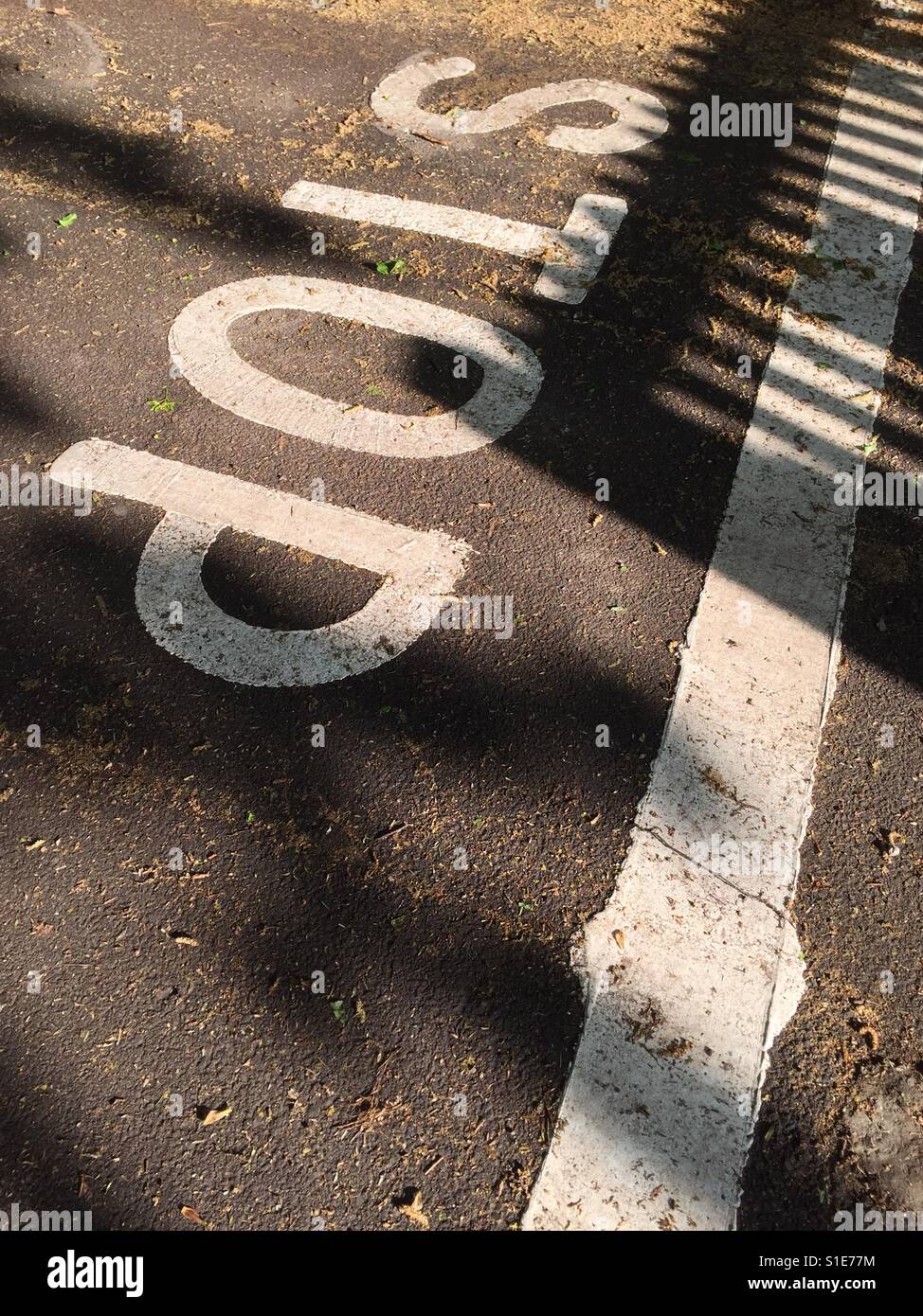 Stop written on the road - Smartphone Captured Stock Image