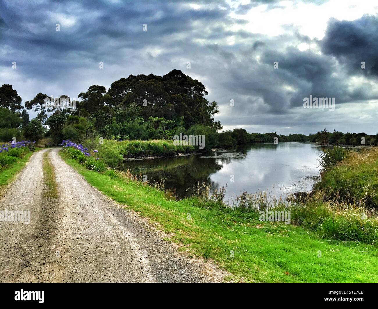 Cycling New Zealand  bay of plenty. - Smartphone Captured Stock Image