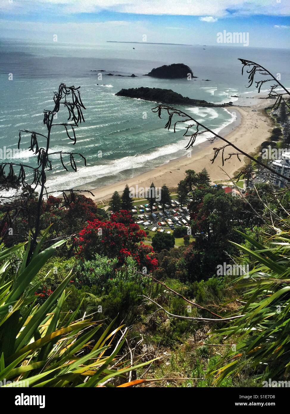 Summertime in New Zealand - Smartphone Captured Stock Image