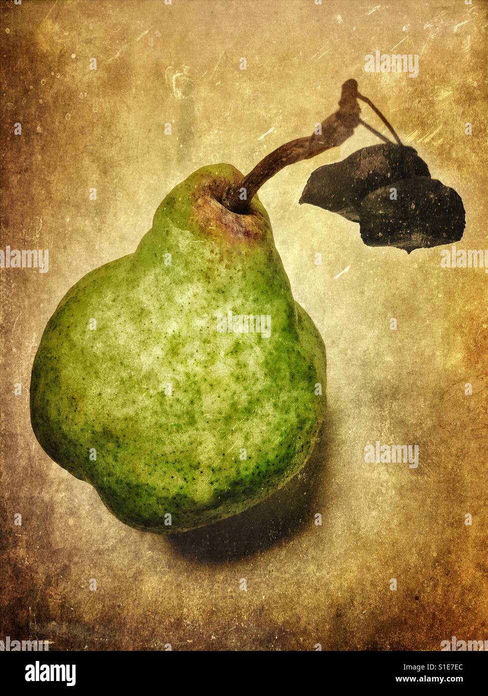 A pear with leaves against a textured background. Stock Photo