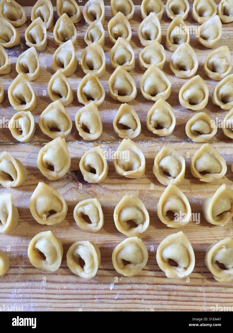 Lines of tortellini pasta Stock Photo