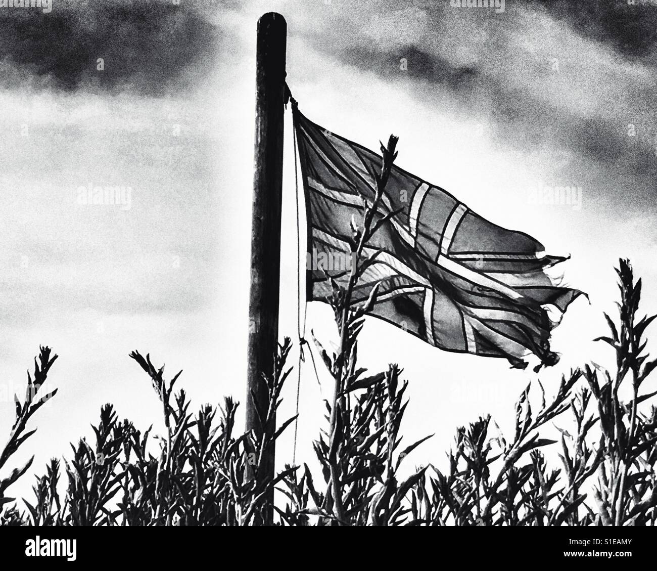 Union Jack - Smartphone Captured Stock Image