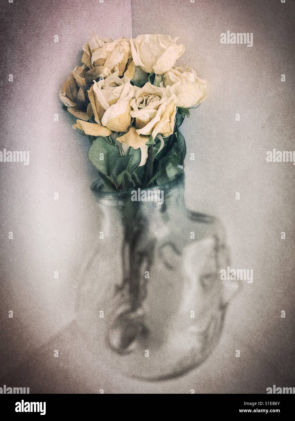 Dead flowers vase hires stock photography and images Alamy