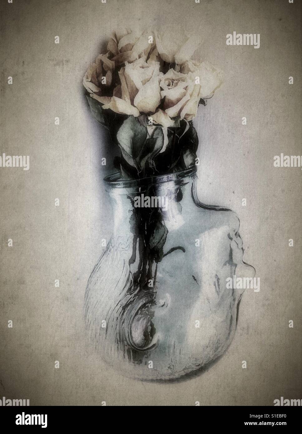 Dead flowers vase hires stock photography and images Alamy