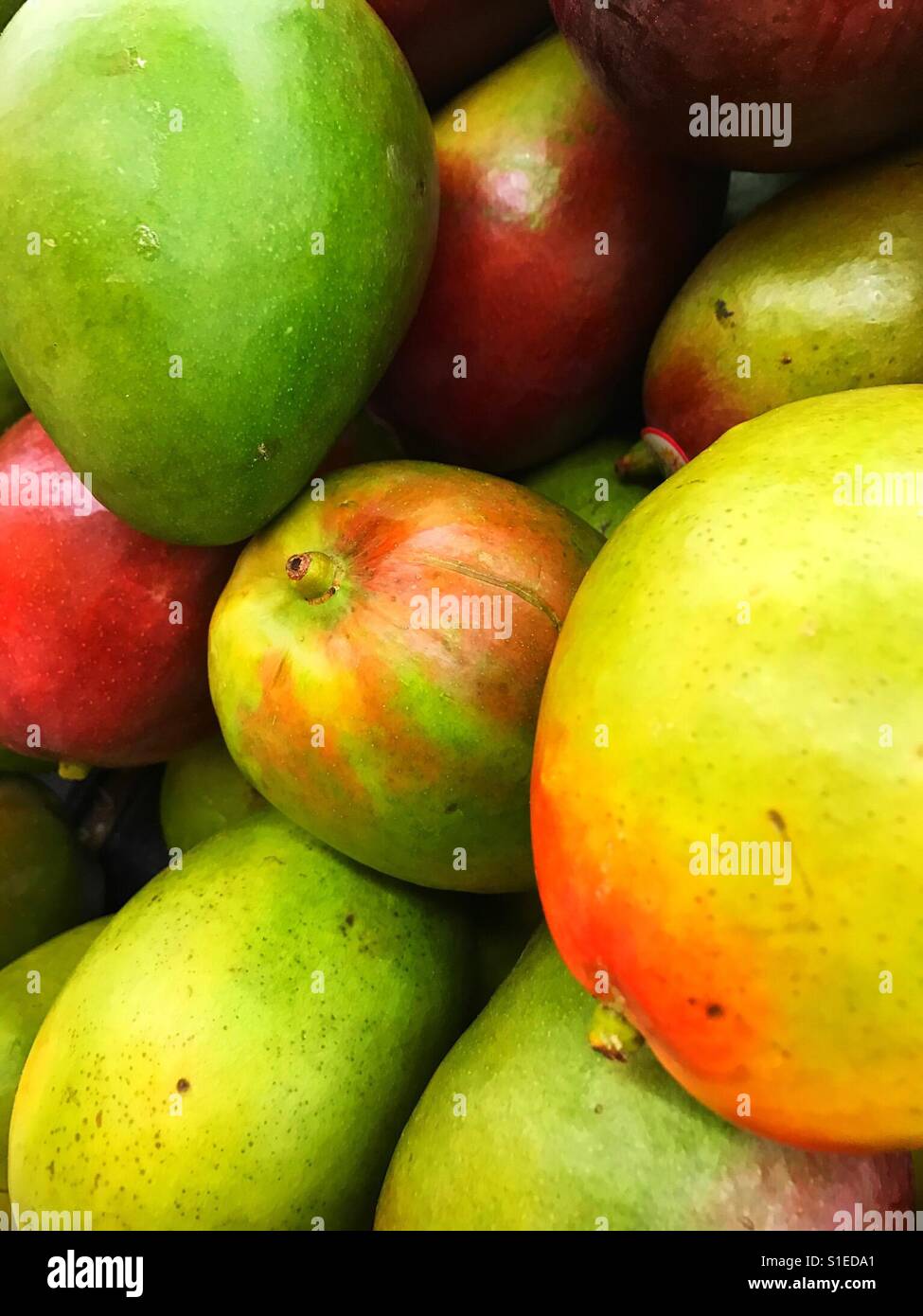 Mangos Stock Photo: 310719081 - Alamy