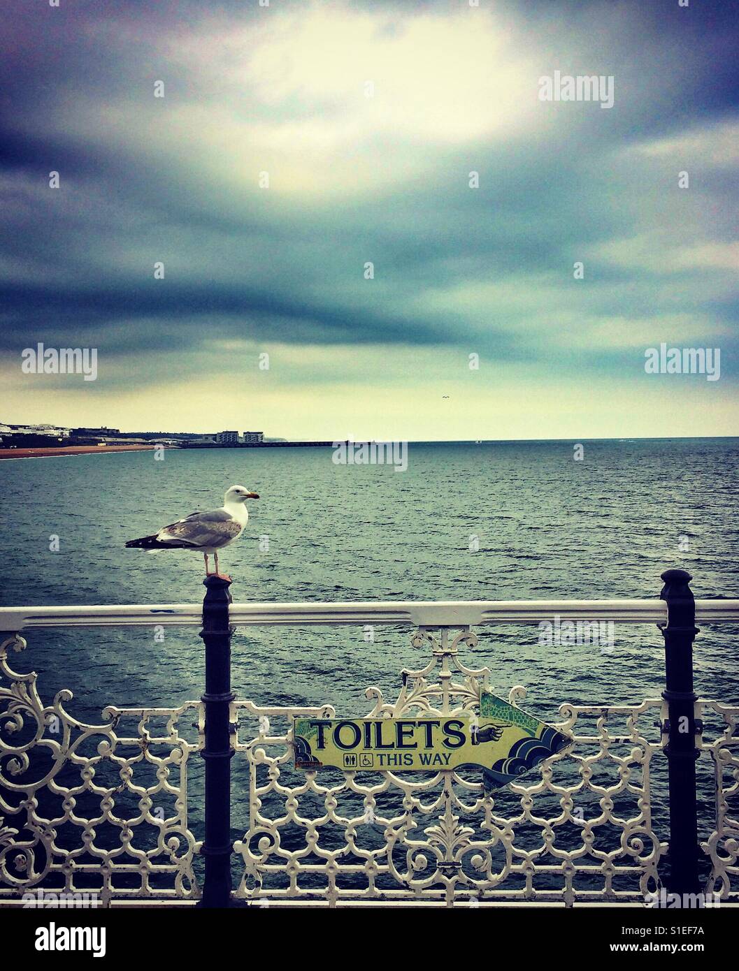 Brighton seaside toilets hires stock photography and images Alamy