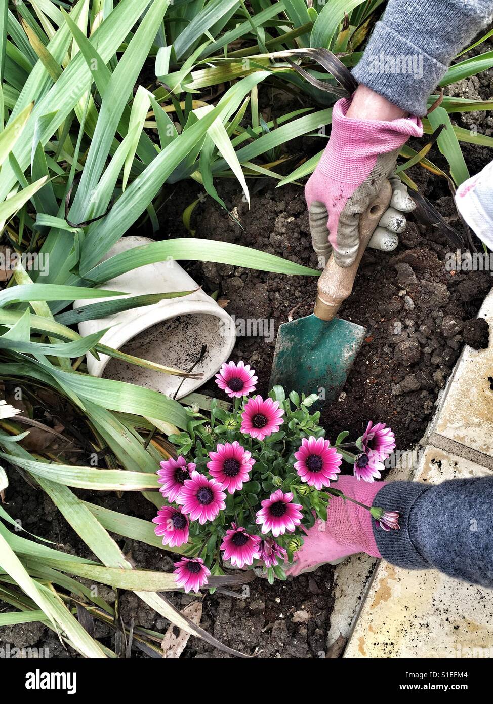 Getting the border ready - Smartphone Captured Stock Image