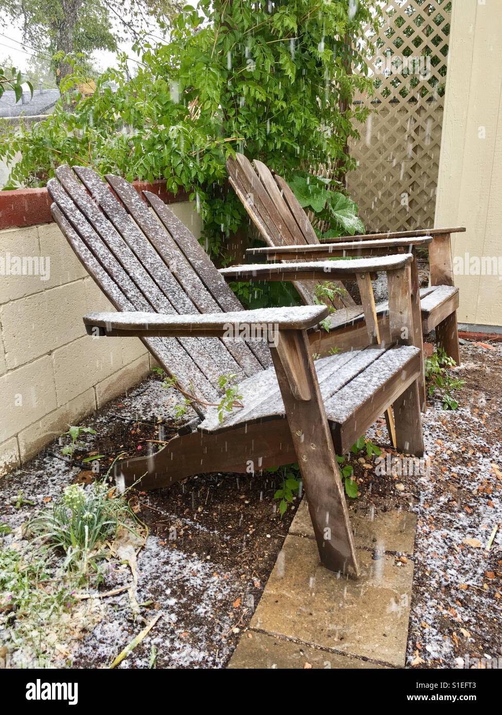 Adorondak Chairs In The Snow Stock Photo Alamy Adorondak Chairs In The Snow Stock Photo Alamy