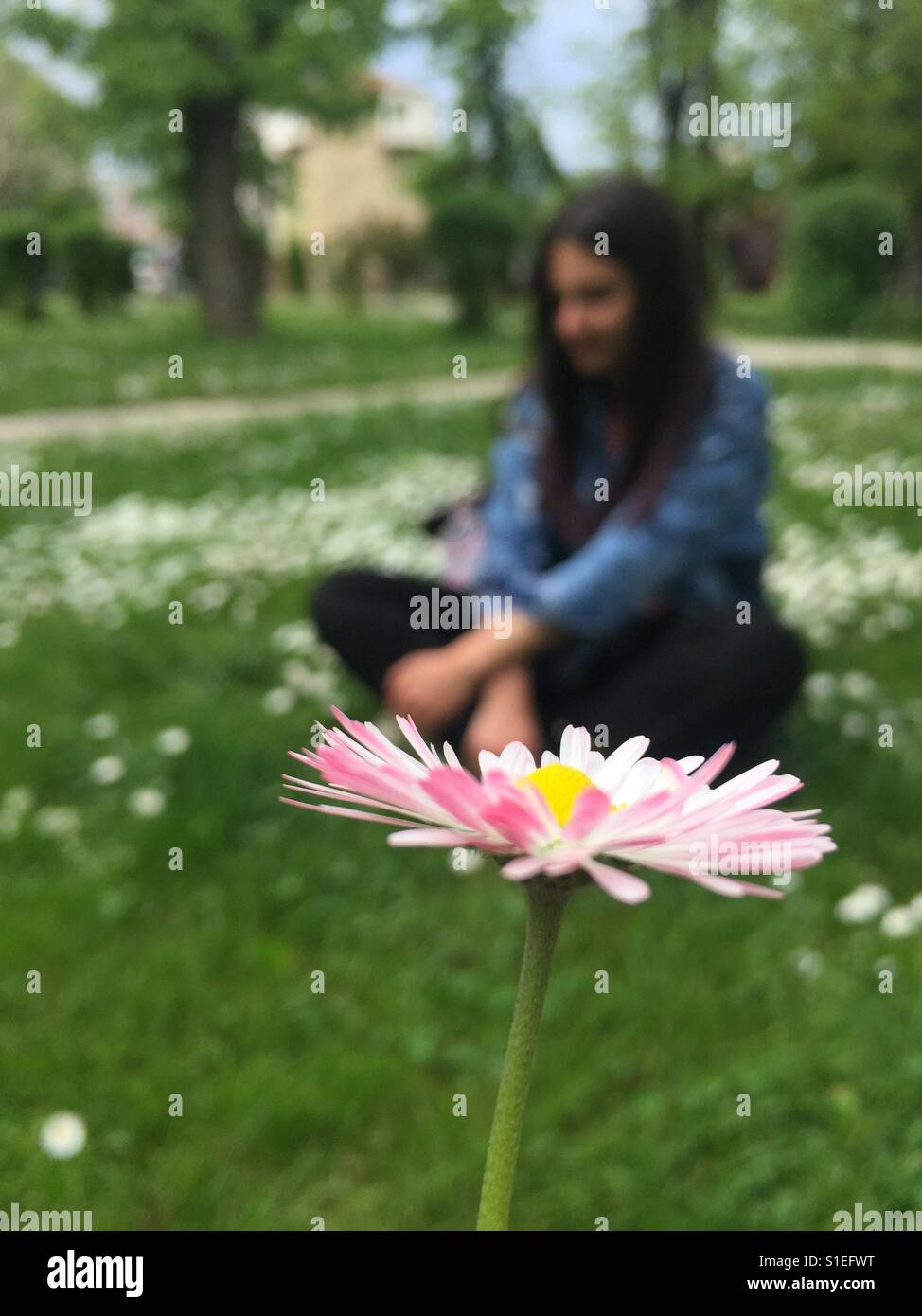 flowers that brings happiness Stock Photo Alamy