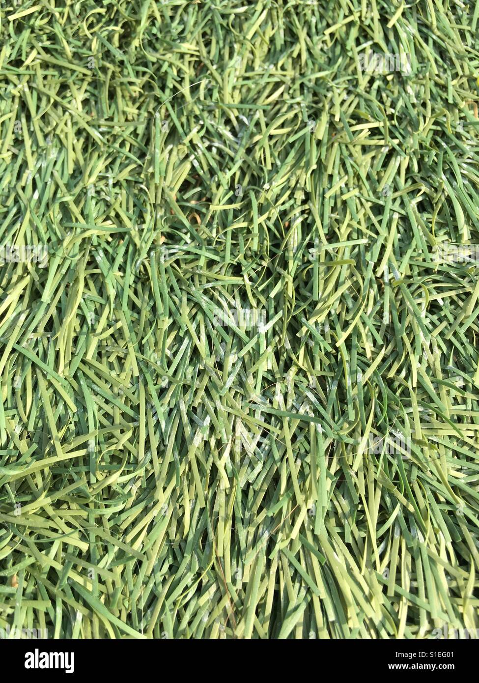 Fake grass texture. Stock Photo