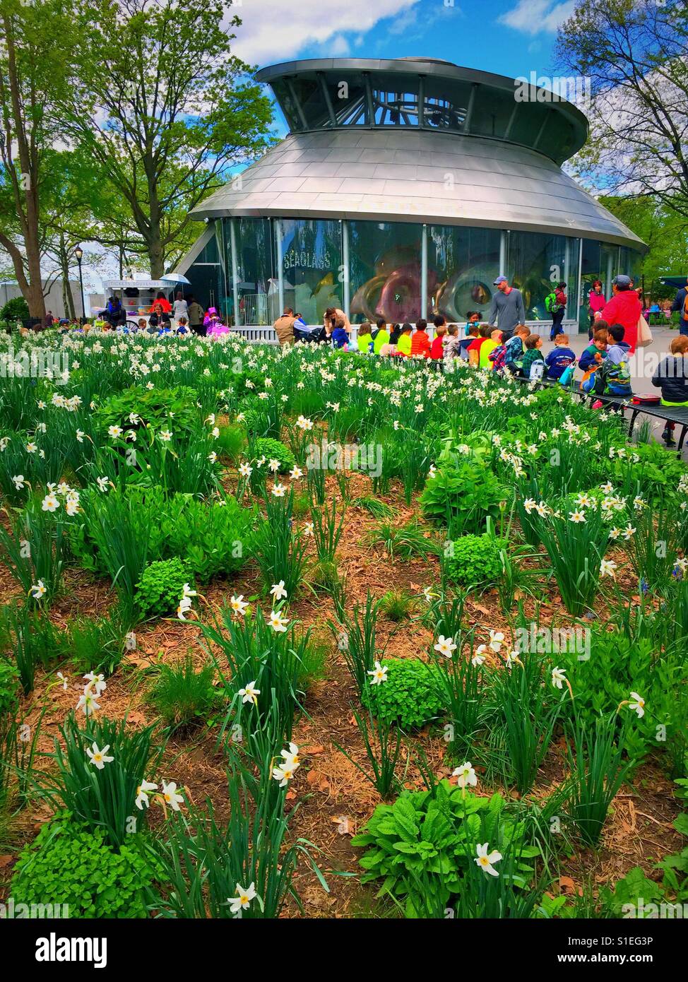 The Seaglass carousel in battery Park, NYC, USA - Smartphone Captured Stock Image