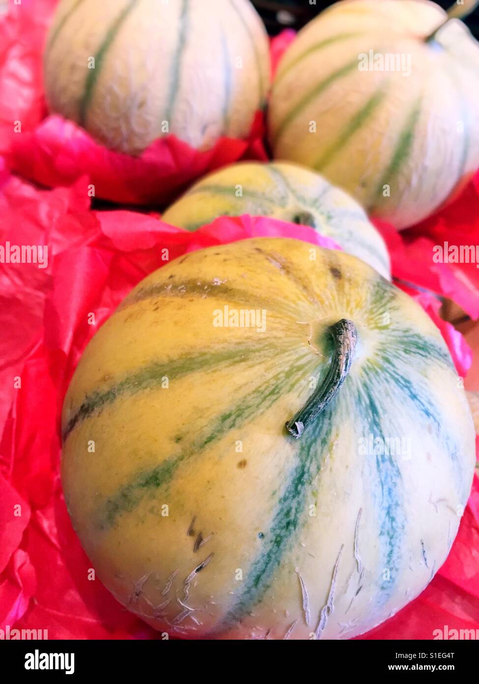 Cavallion Melons for sale at vegetable stand, NYC, USA Stock Photo Alamy