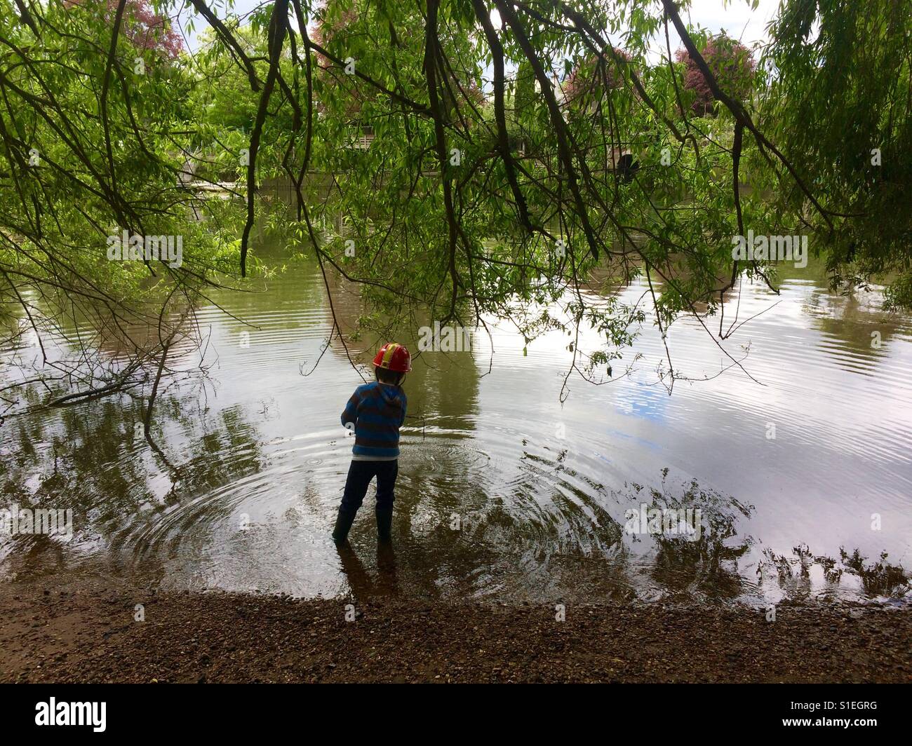Boy playing in river Thames with a stick twickenham Stock Photo - Alamy