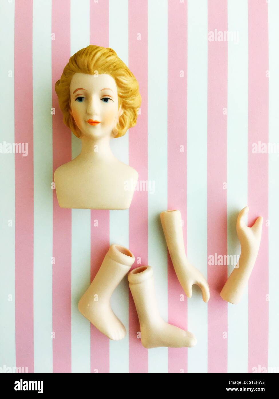 The parts of a female doll Stock Photo Alamy