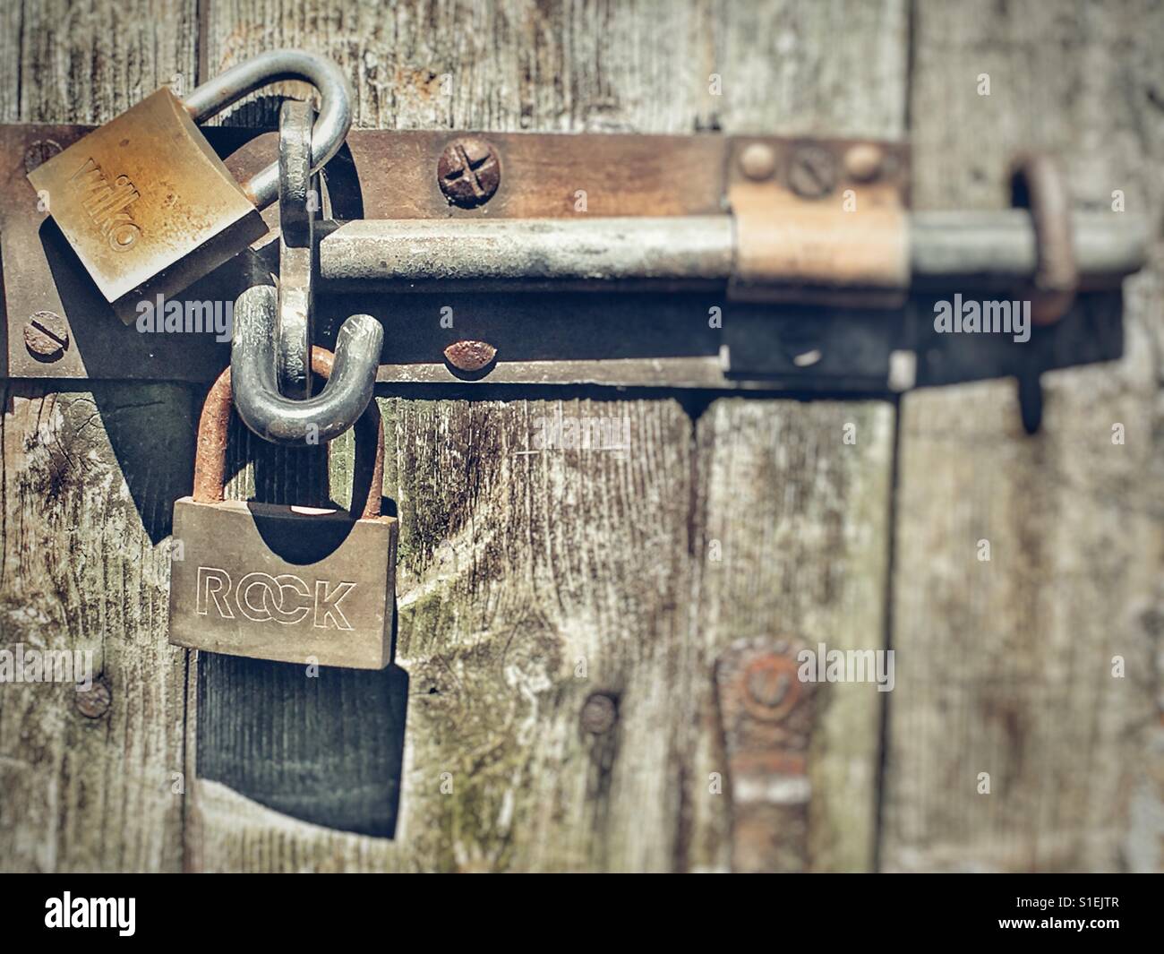 Double padlocks on garden shed - Smartphone Captured Stock Image