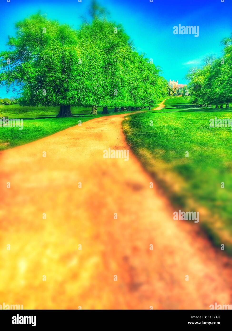 Footpath through Wollaton Park, Wollaton, Nottingham, Nottinghamshire, East Midlands, England - Smartphone Captured Stock Image