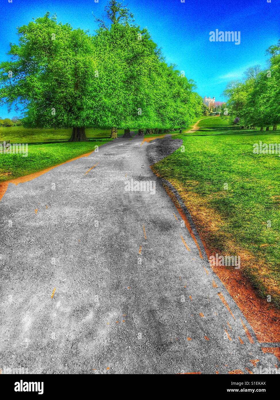 Footpath through Wollaton Park, Wollaton, Nottingham, Nottinghamshire, East Midlands, England - Smartphone Captured Stock Image