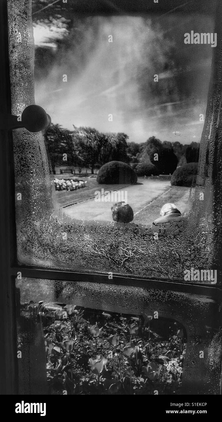 Beyond the window - Smartphone Captured Stock Image